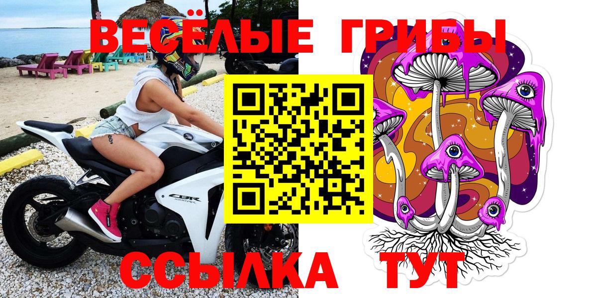 Псилоцибиновые грибы Psilocybe  Вход с VPN  цены   Псилоцибиновые грибы Psilocybine cubensis  Воронеж 